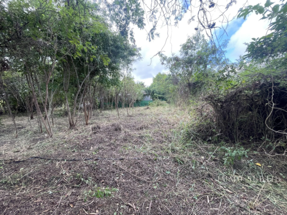Terrain constructible de 1138 m² à Saint-François idéal pour votre projet immobilier