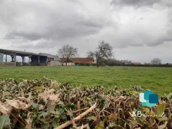 Terrain constructible Viabilisé à Auzouville-sur-Ry - Opportunité à saisir