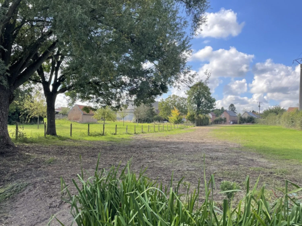 Terrain constructible de 1000 m² à Preux-au-Bois - Parcelle de 3353 m² dans secteur calme
