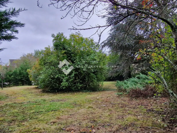 Terrain constructible à Couilly-Pont-aux-Dames - 1032 m², viabilisé