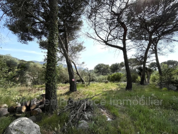 Terrain constructible à Drap avec vue dégagée et projet de maison de 4 pièces