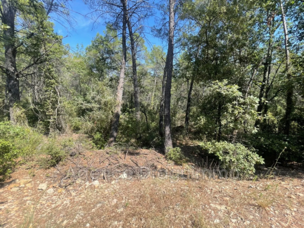 Terrain forestier isolé à Flayosc de 10 380 m² pour loisirs