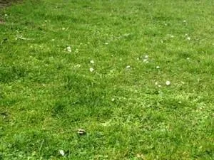 Terrain à vendre à Le Bosquel - Constructible de 798 m² près de l'A16