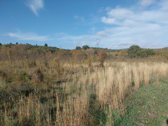 Terrain agricole à Fontès avec vue panoramique et potentiel agricole