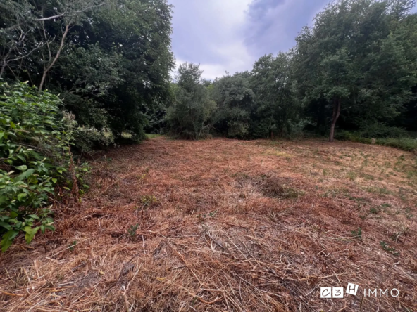 Terrain constructible à vendre à Lavernose-Lacasse, Opportunity rare de 1273 m²