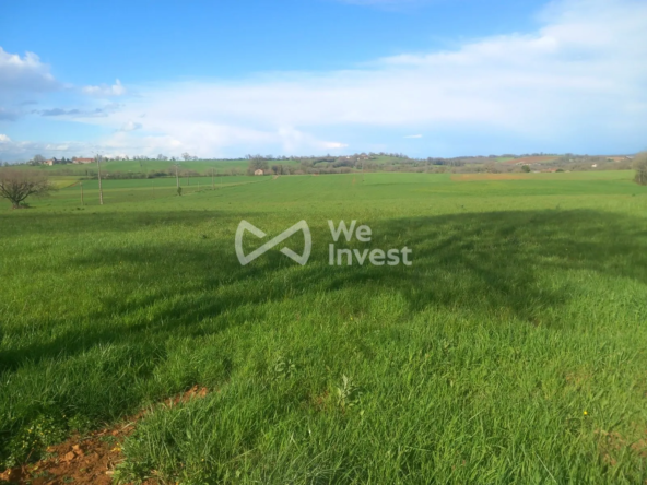 Terrain constructible viabilisé de 2527 m² à Parisot proche de Montauban