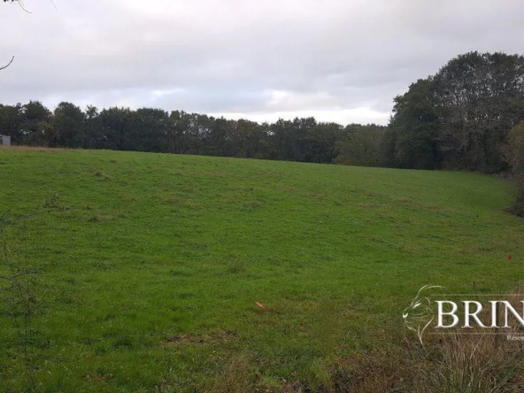 Terrain constructible de 427 m² à Ayherre – Opportunité à saisir