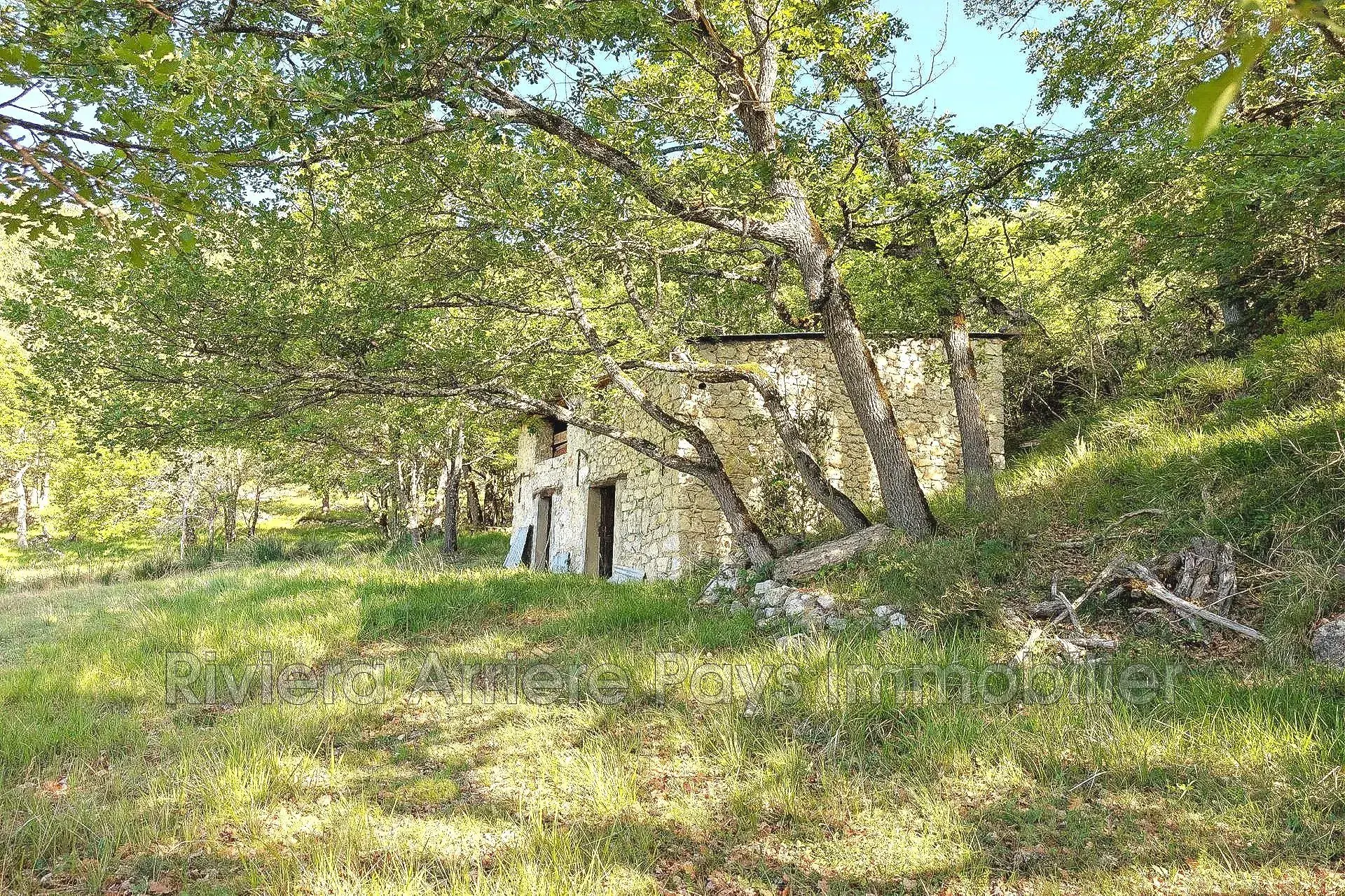 Propriété rurale avec vue panoramique à Puget-Théniers - Calme et nature