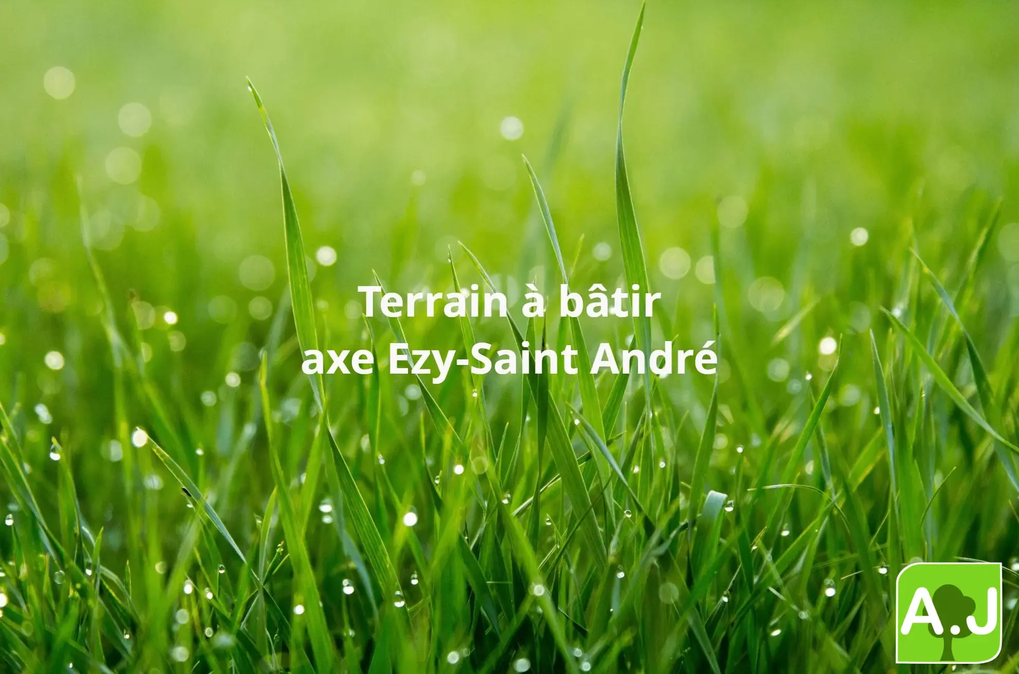 Terrain constructible de 1126 m² à Champigny la Futekaye – Environnement paisible et soleil garantis