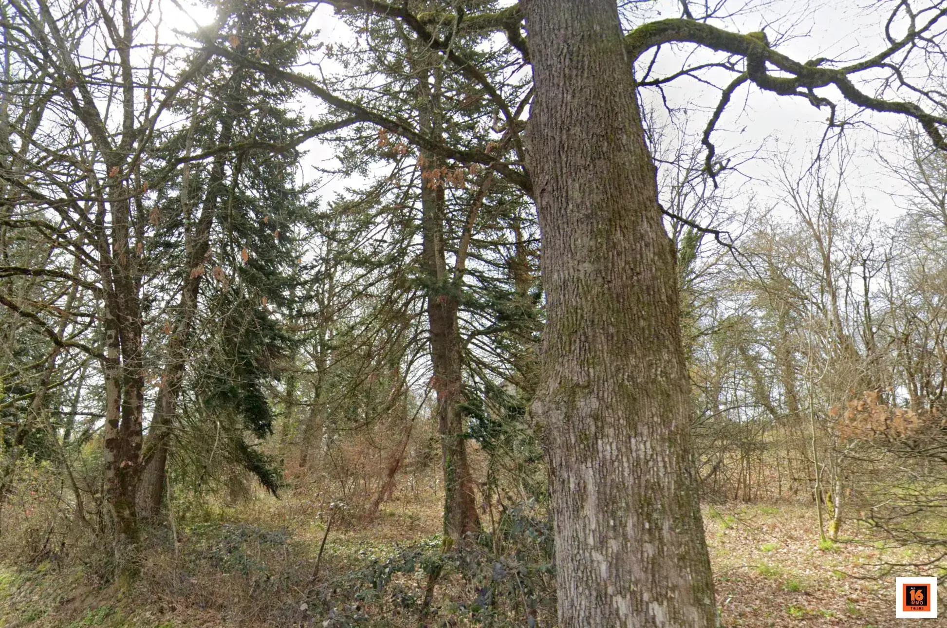 Terrain constructible de 2016 m² avec bâtiments à Peschadoires