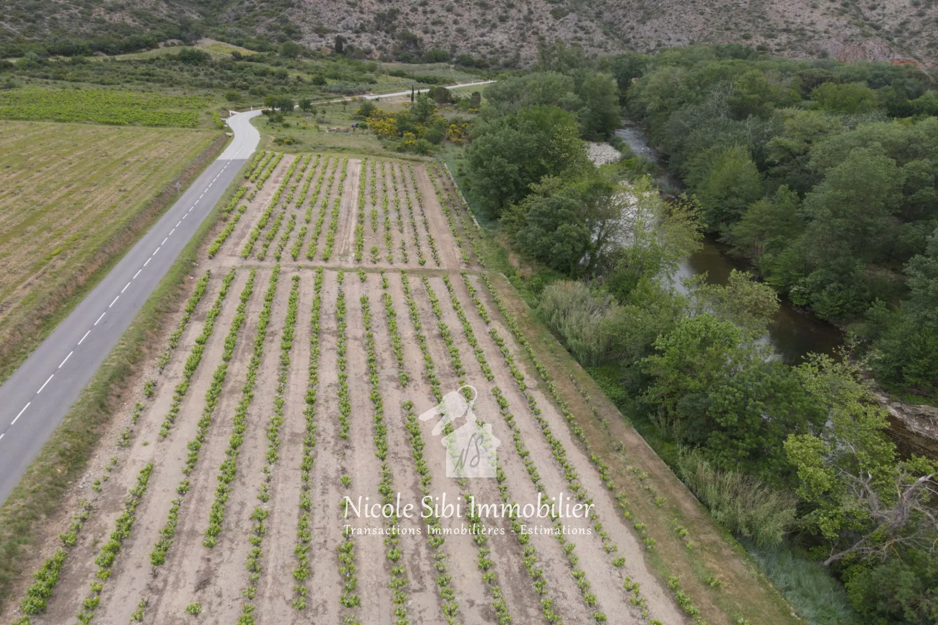 Terrain agricole à vendre à Latour-de-France - Superficie 3 040 m²