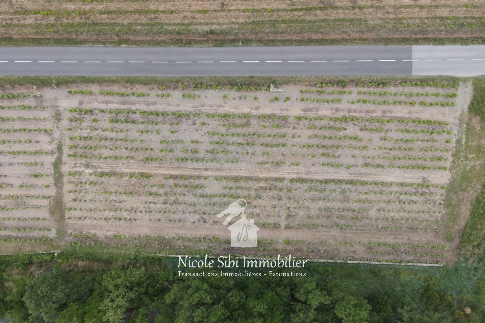 Terrain agricole à vendre à Latour-de-France - Superficie 3 040 m² 