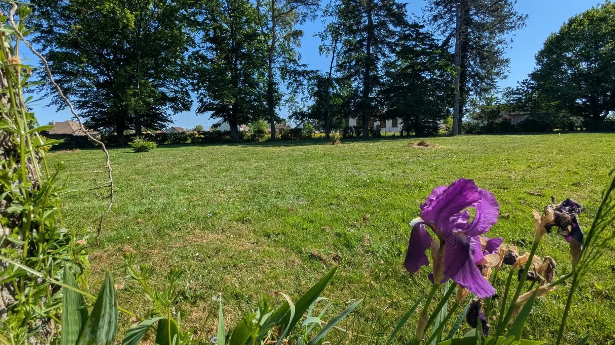 Terrain constructible de 1078 m² à Sermesse proche Verdun-Ciel