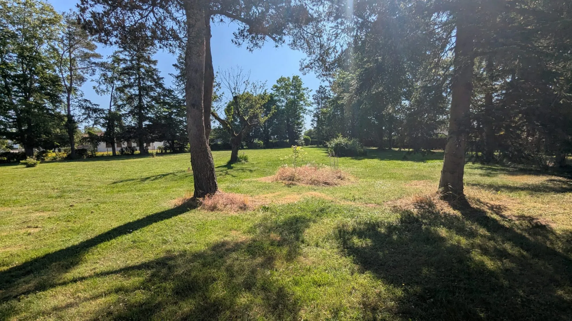 Terrain constructible de 1078 m² à Sermesse (71350) – Idéal pour votre maison