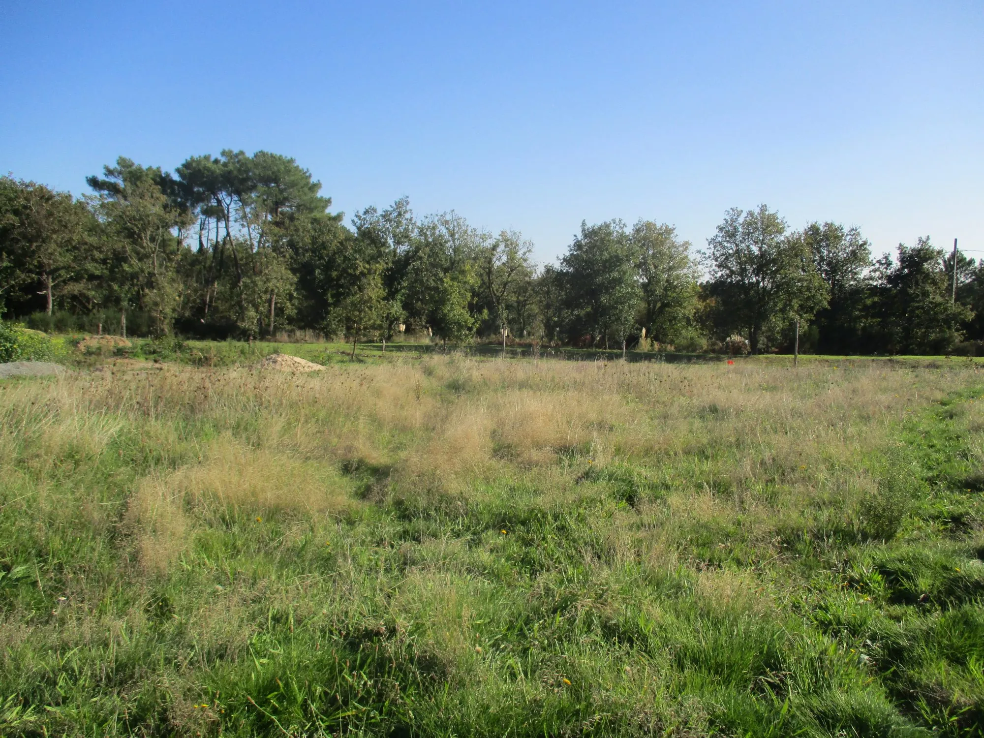 Terrain constructible calme à Vairé et Brem-sur-Mer près de la mer 