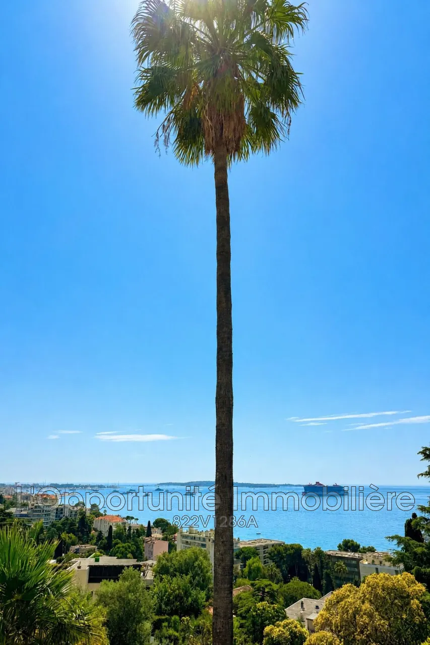 Vente studio avec vue mer à Cannes, résidence avec piscine et jardin 