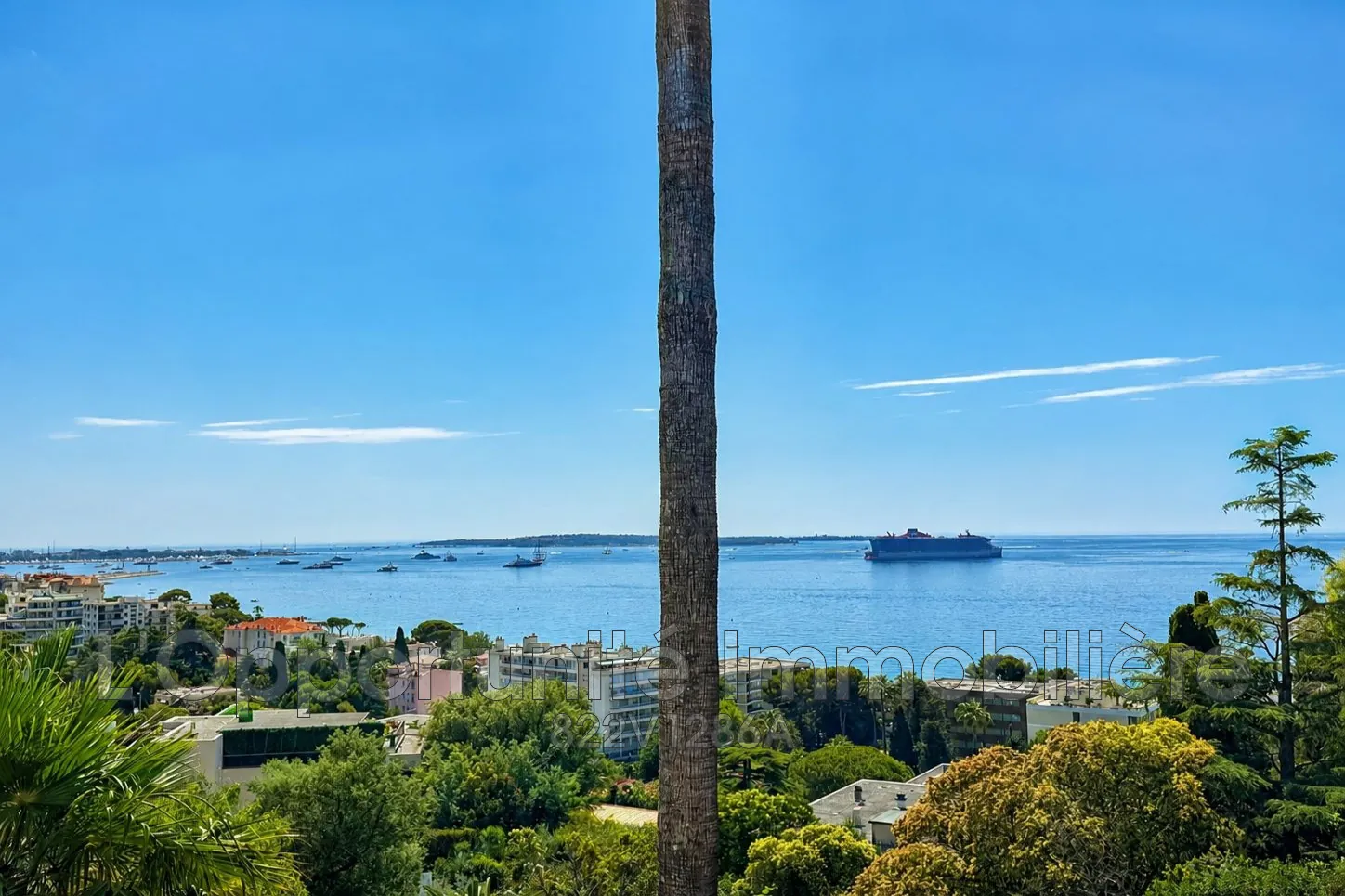 Vente studio avec vue mer à Cannes, résidence avec piscine et jardin 