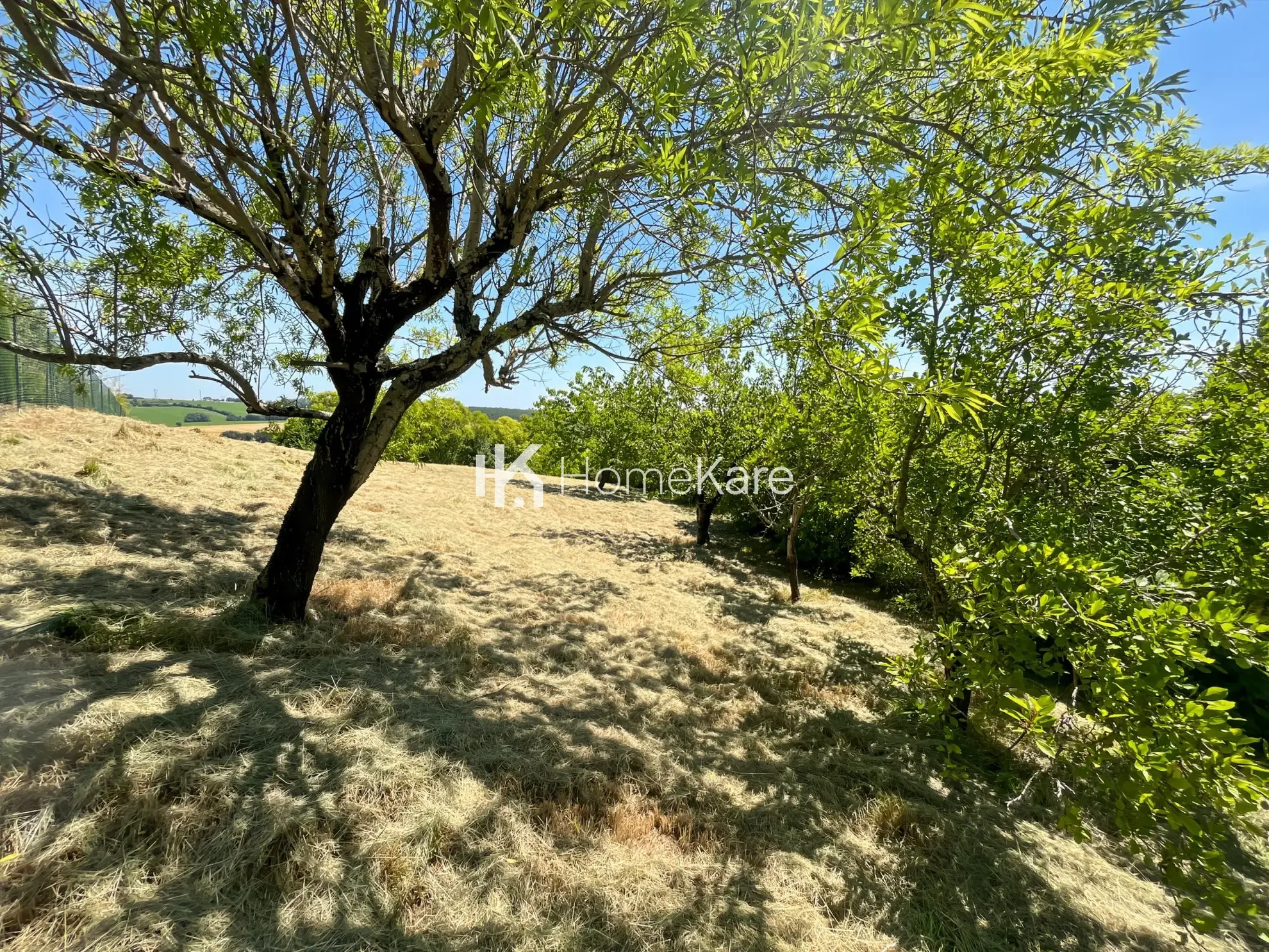 Terrain à vendre à Auzielle 31650 – Vue imprenable et environnement calme 