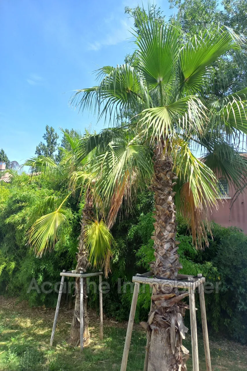 Magnifique appartement T3 avec terrasse à Montpellier dans résidence récente
