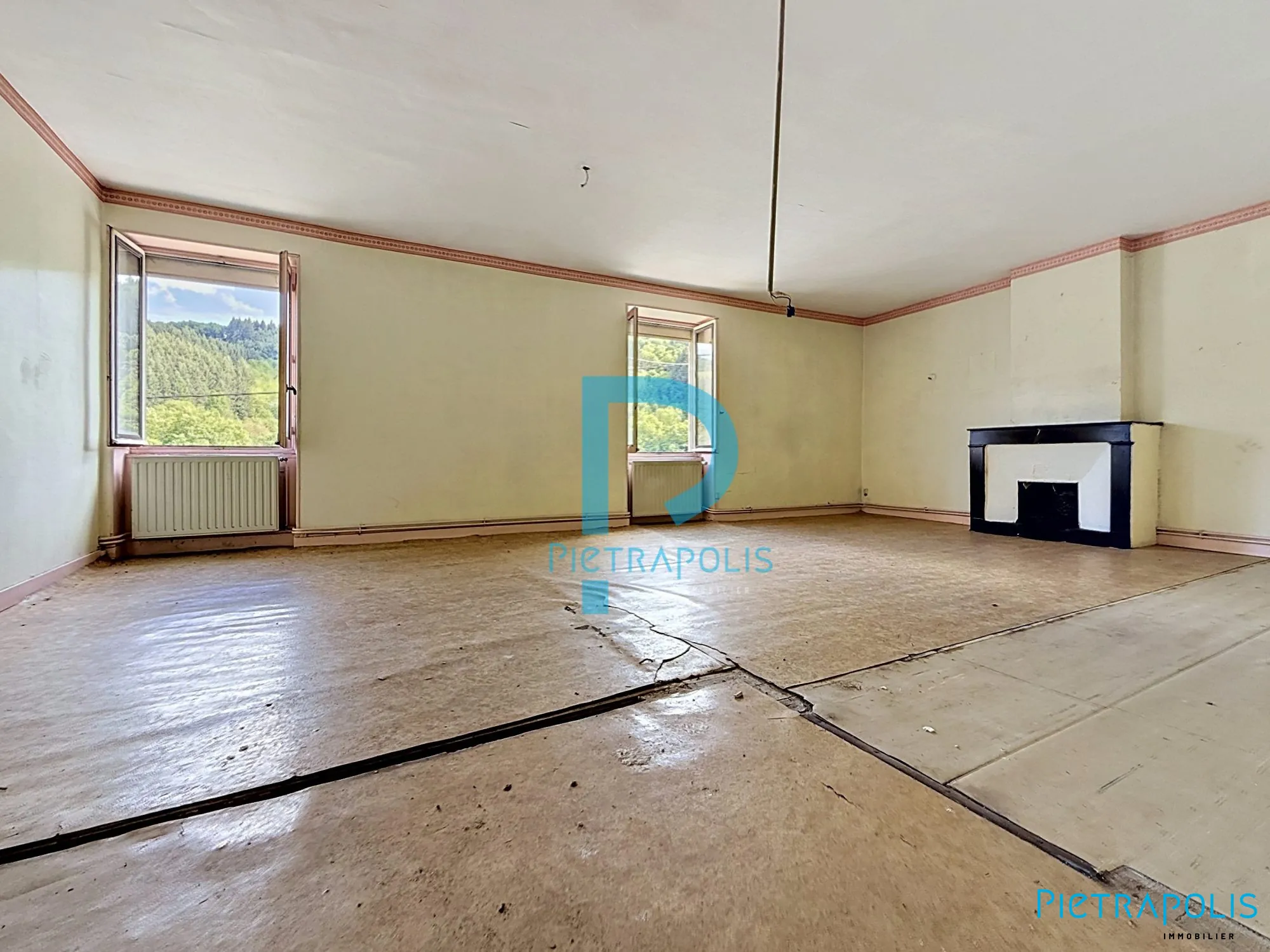 Appartement/Plateau à rénover avec garage, cave et cour à Tarare