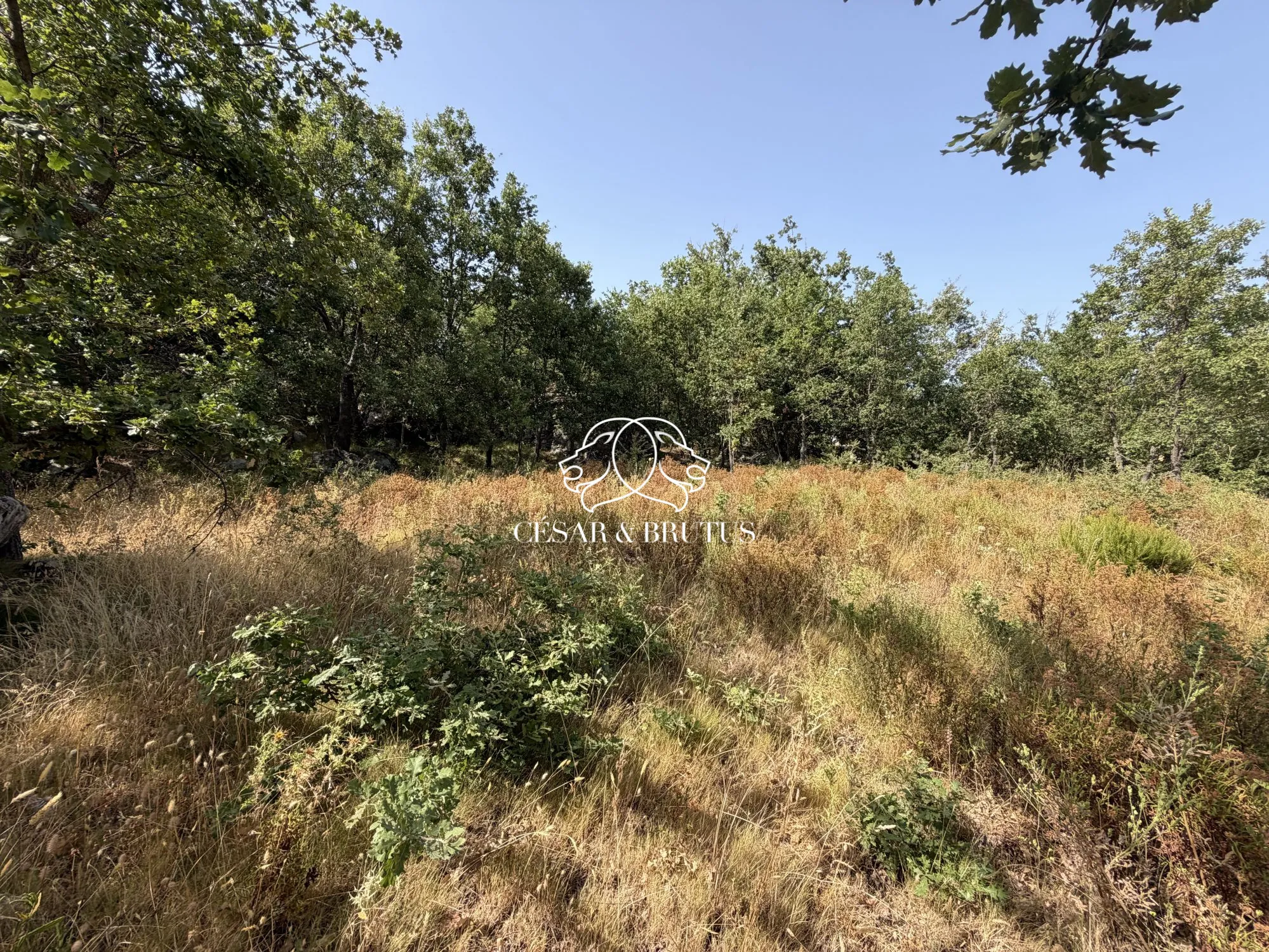 Terrain constructible à Murato en Corse – 974 m², idéal pour votre future maison