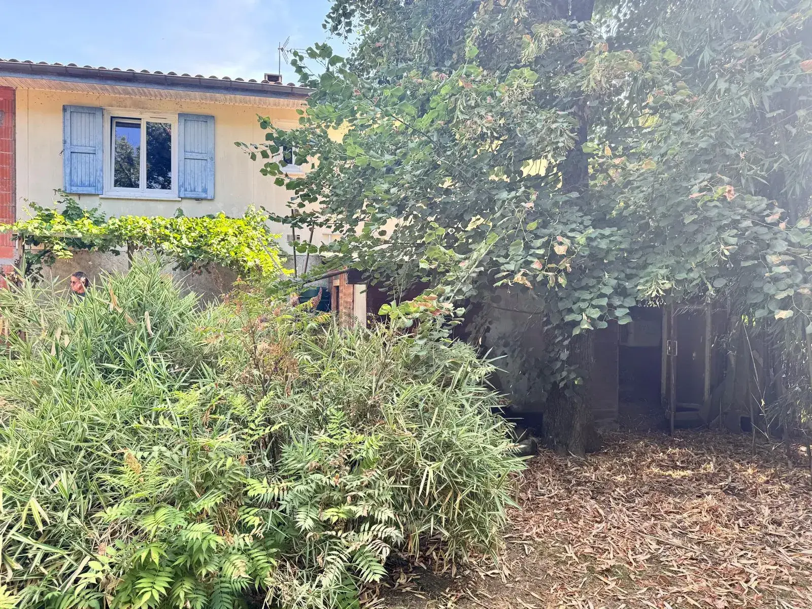 Belle maison en ossature bois de 180 m2 avec grand jardin à Lherm, proche Muret