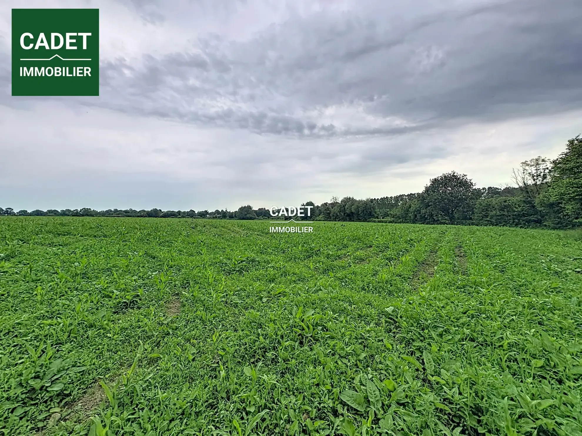 Terrain agricole à vendre à La Haye-Pesnel - Opportunité d'investissement