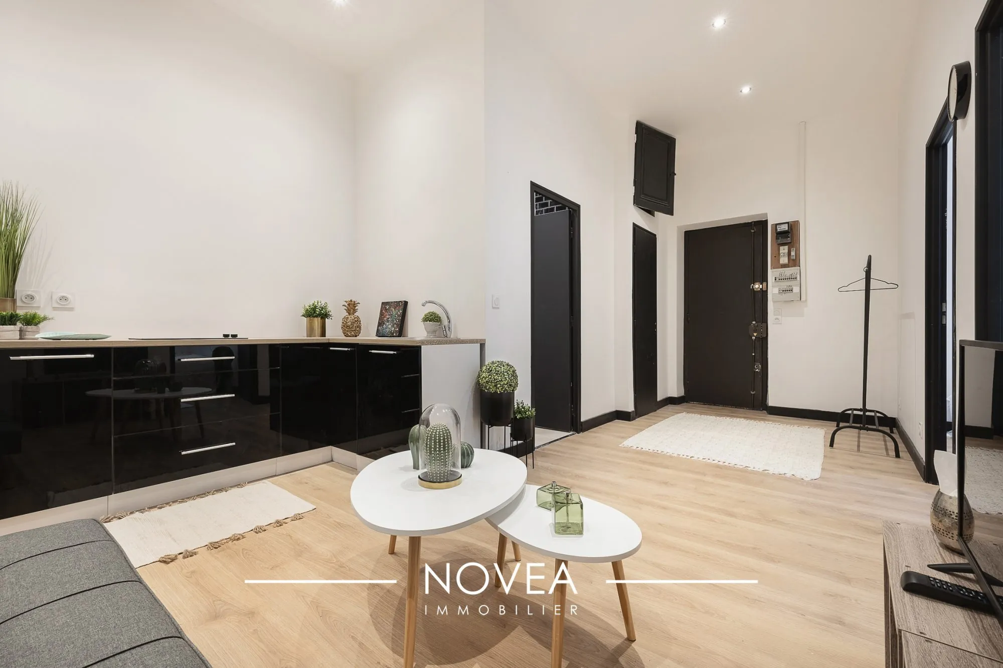 Appartement T2 rénové de 42m² avec cave à proximité des Gratte-Ciel à Villeurbanne