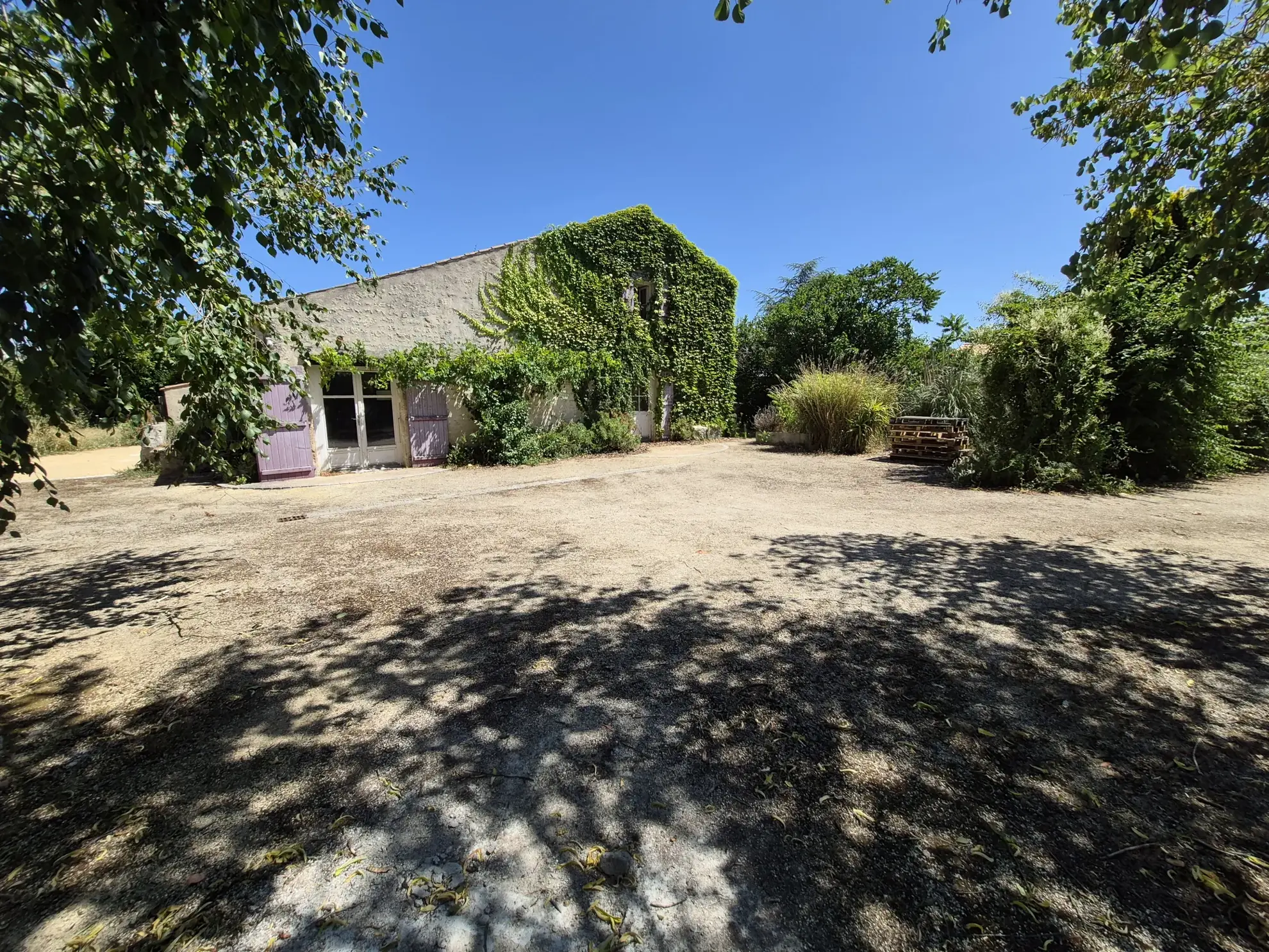 Maison en pierre à rénover à Sainte-Gemme-la-Plaine avec potentiel et terrain arboré