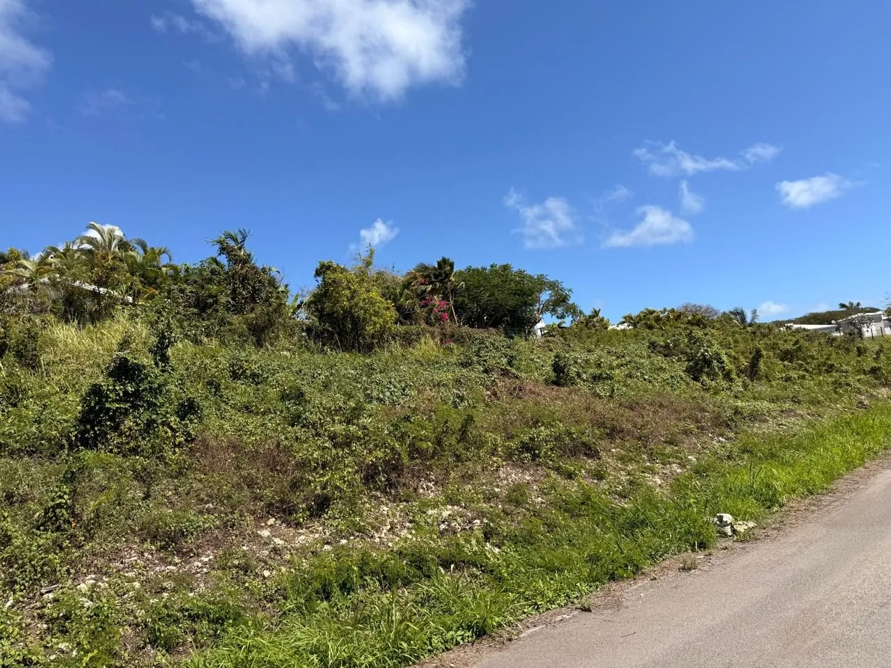 Terrain constructible de 530 m² à Sainte-Anne en Guadeloupe