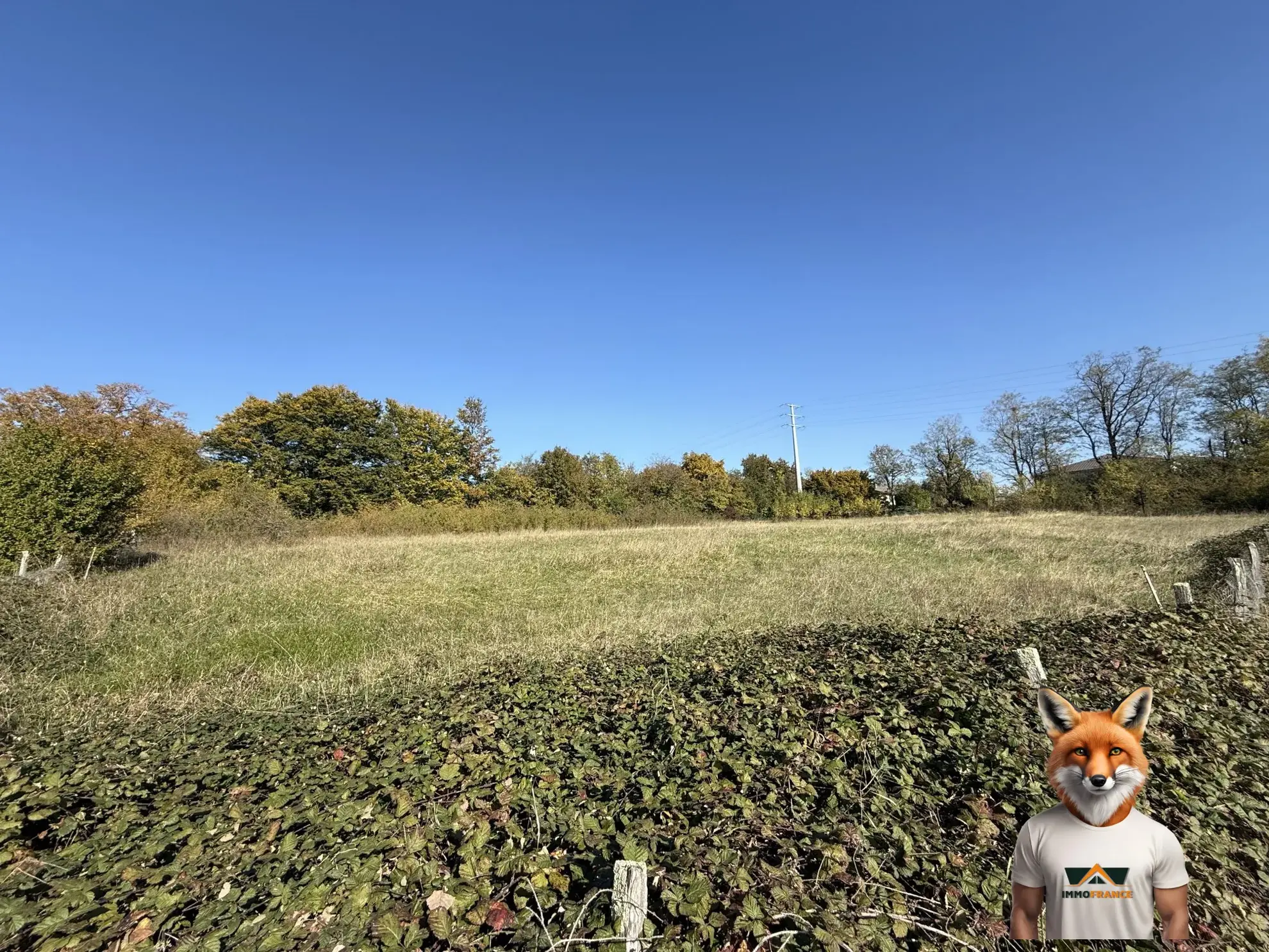 À vendre : Grand terrain de 52,61 ares à Saint-Vit, viabilisé et prêt à construire