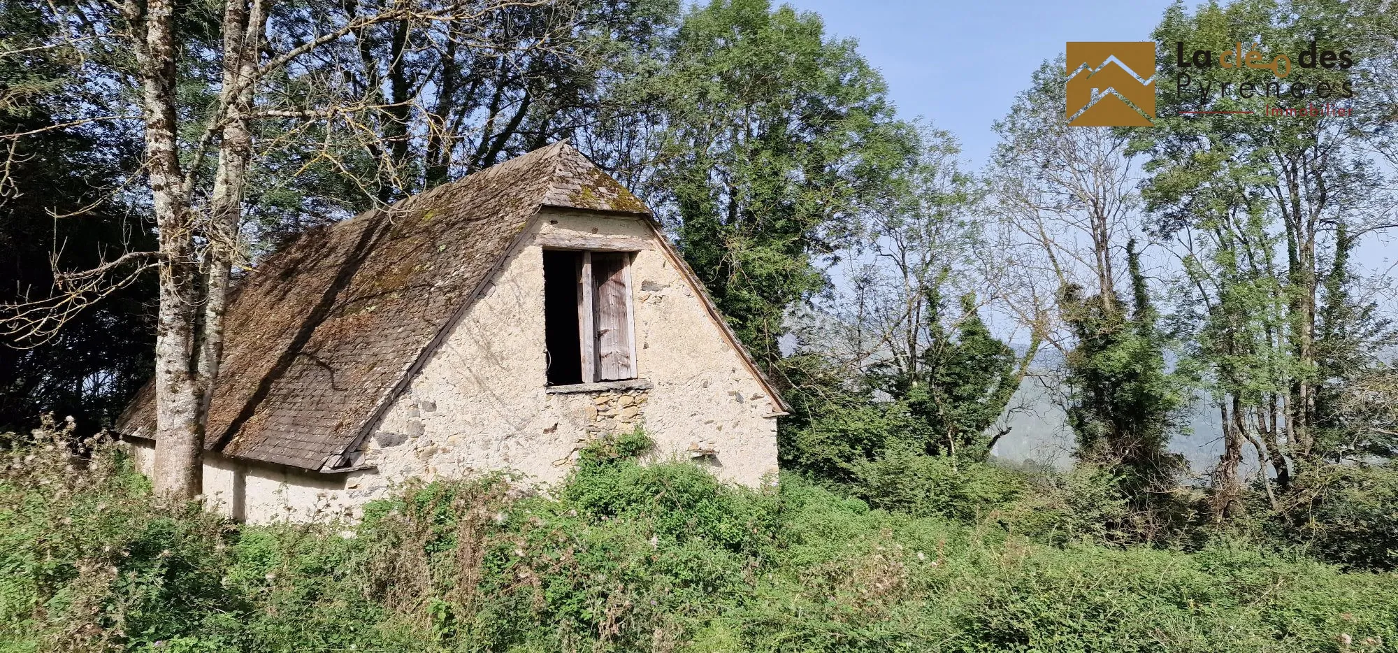 Grande grange foraine à Berbérust-Lias avec terrain de 1 hectare - Vue dégagée