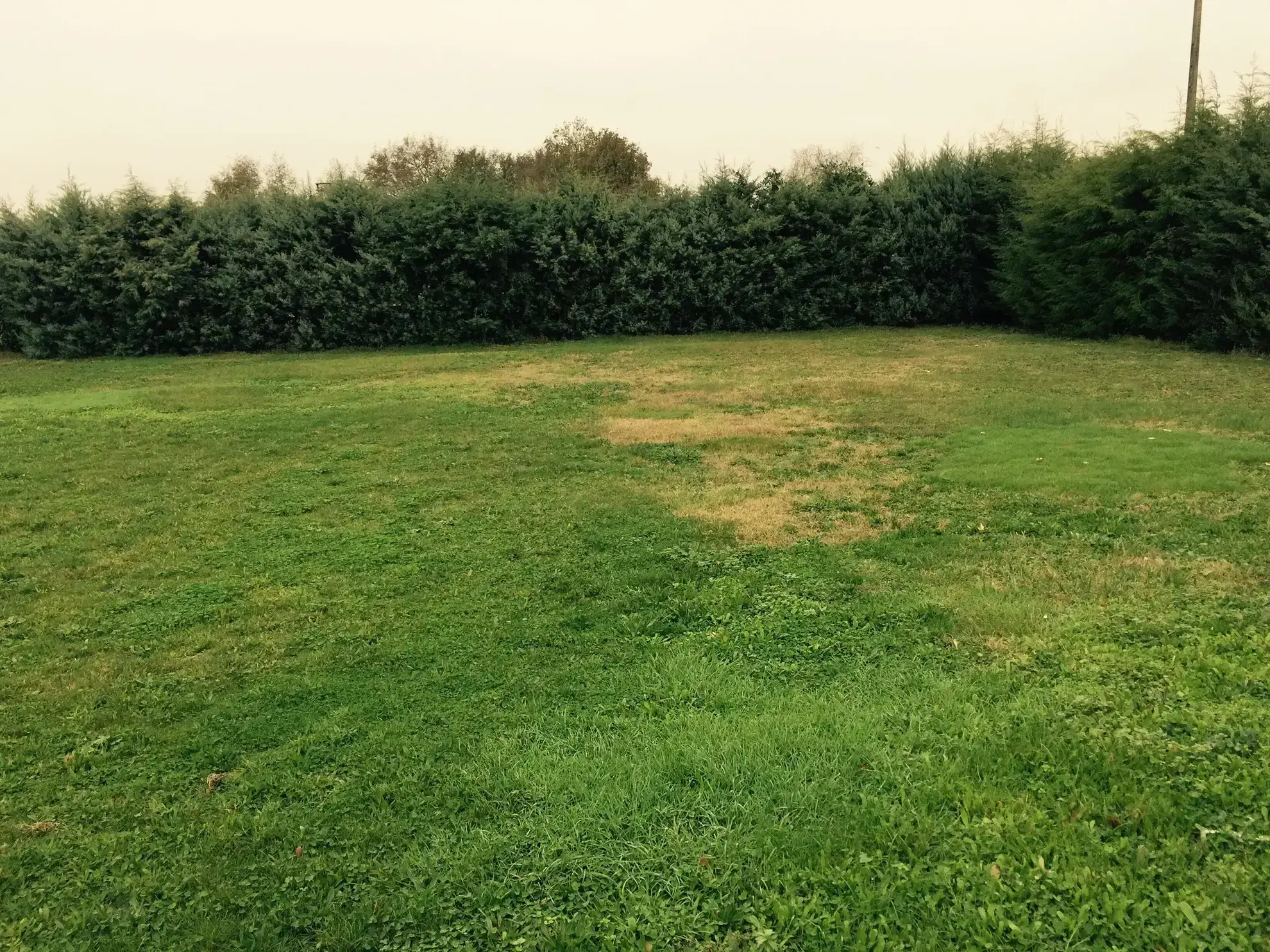 Terrain constructible à Tauriac pour bâtir votre maison sur mesure