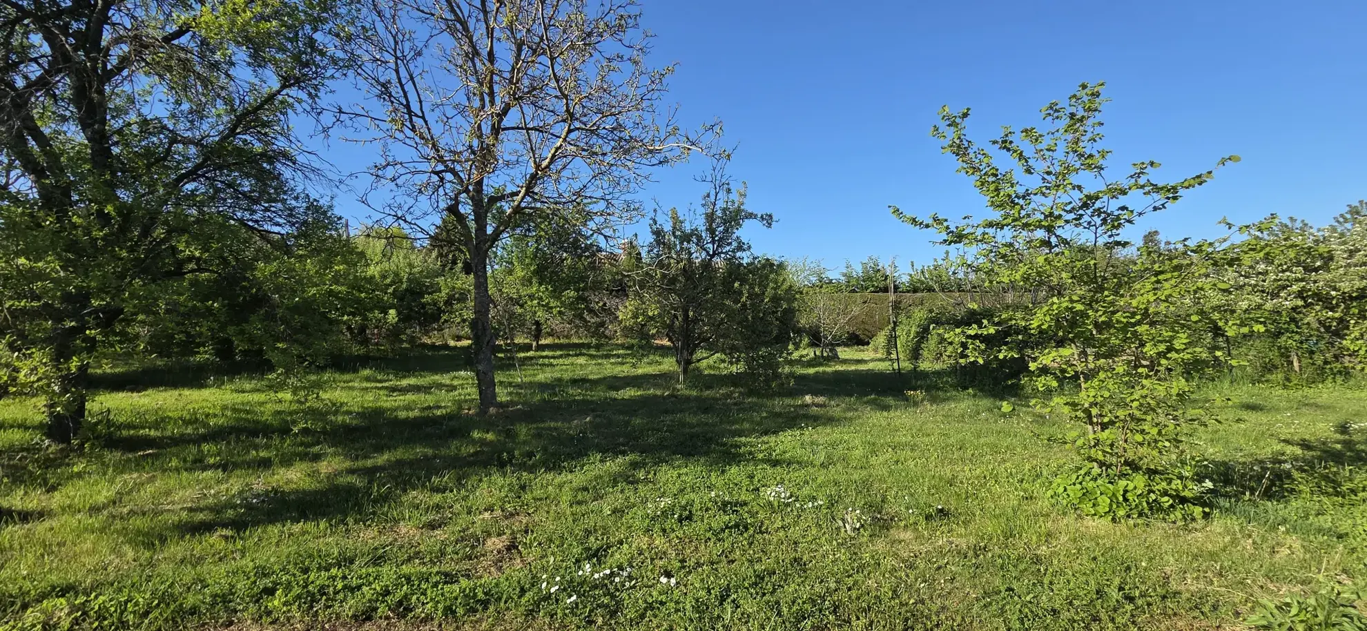 Terrain constructible de 504 m² à Alboussière, secteur Les Chatenelles