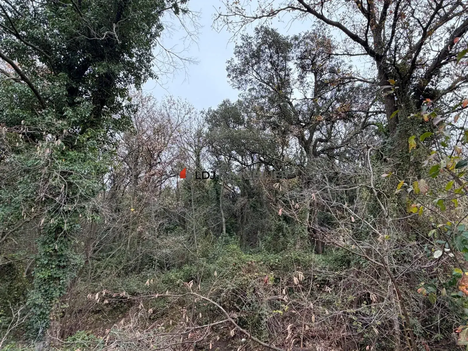 Terrain à vendre de 17 246 m² dans les Albères, zone PAEN, idéal pour projets agricoles ou de loisirs
