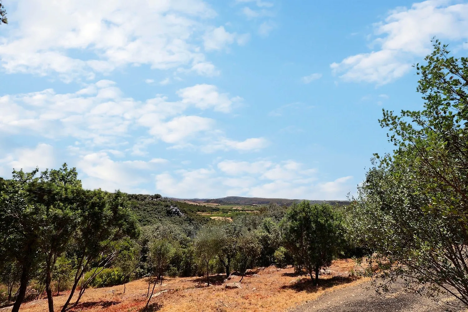 Terrain constructible de 1330 m² à Gabian avec vue montagne et viabilisation complète