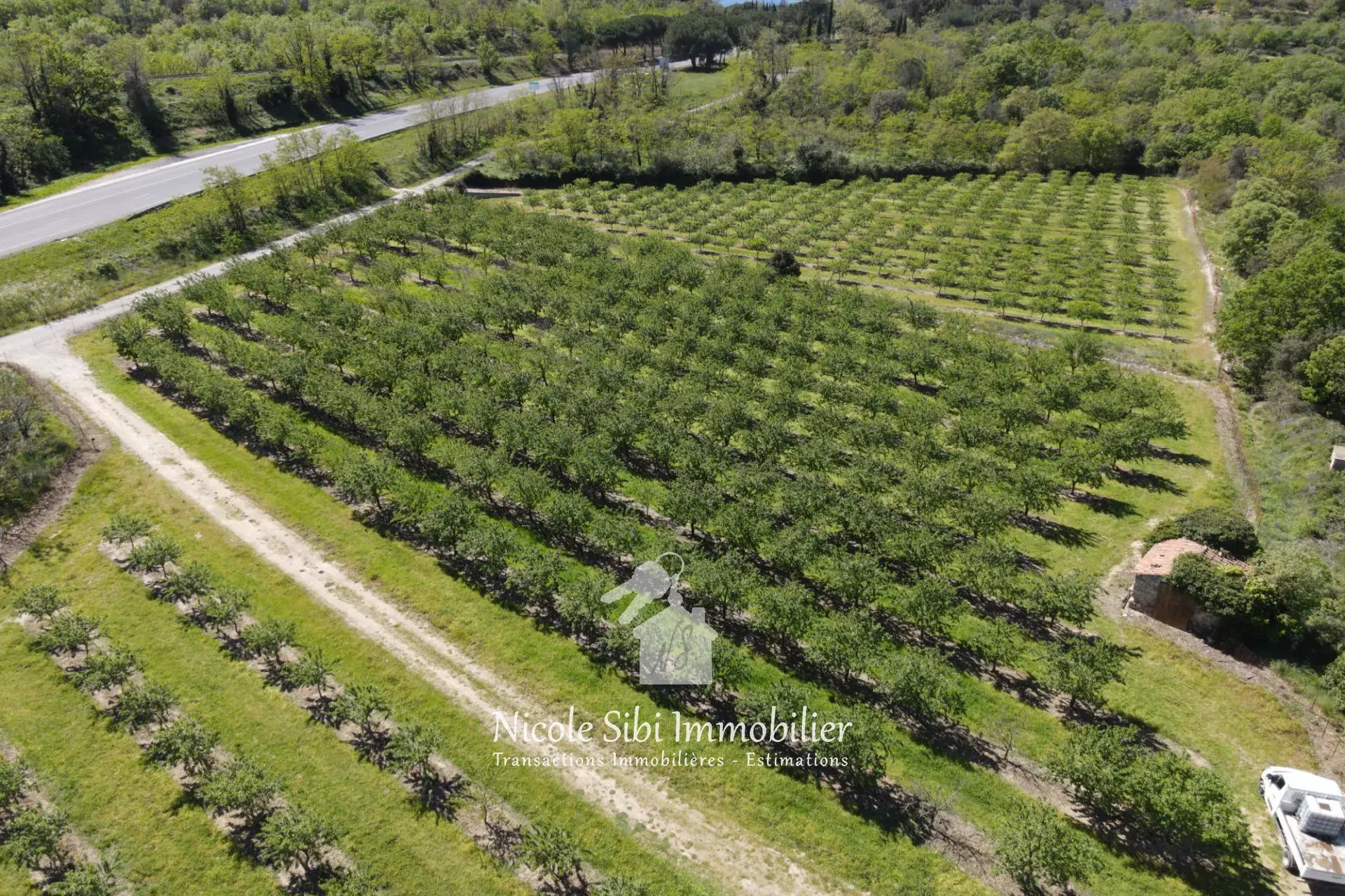 Vente terrain agricole de 23 720 m² à Rodès, idéal pour exploitation fruitière