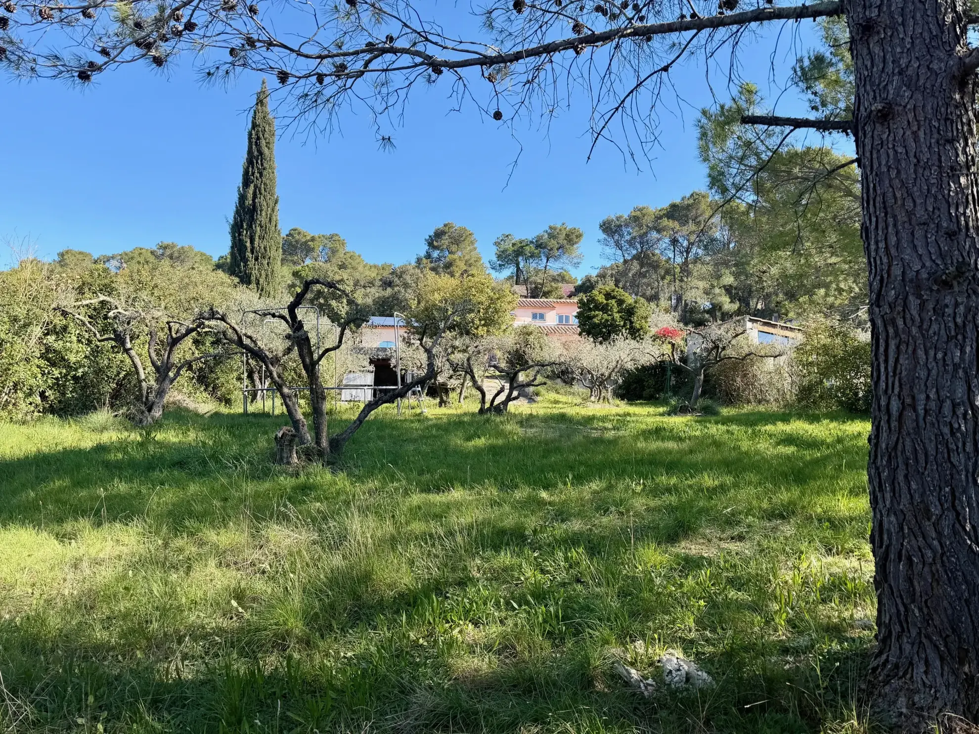 Terrain constructible de 865 m² à Congénies - Idéal pour projet résidentiel