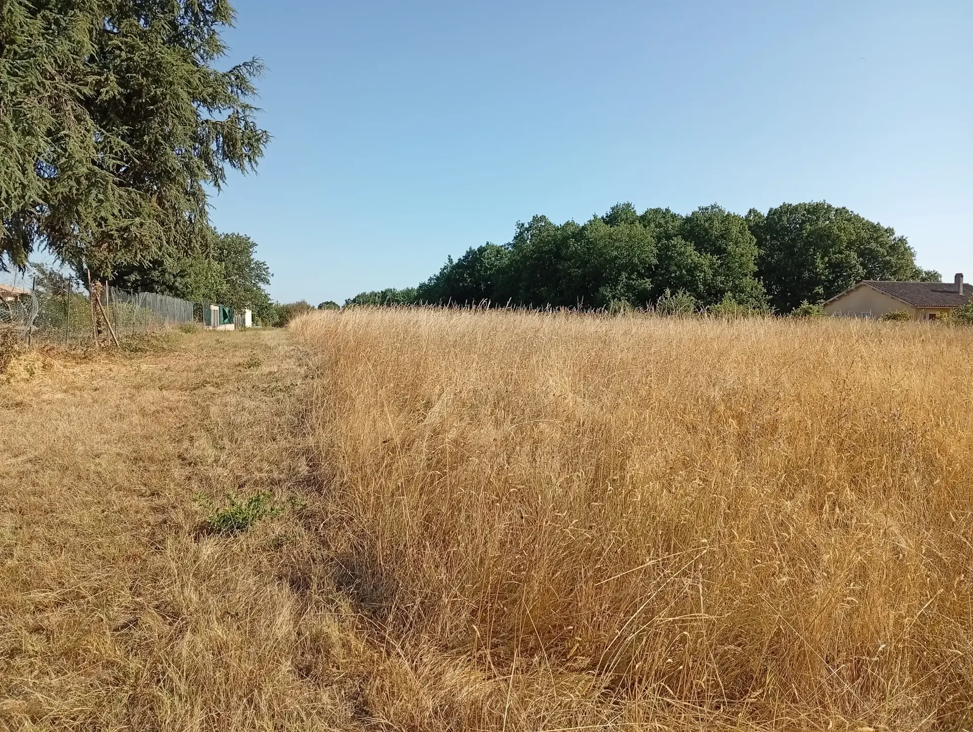 Terrain constructible de 816 m² à Montech – Opportunité à saisir