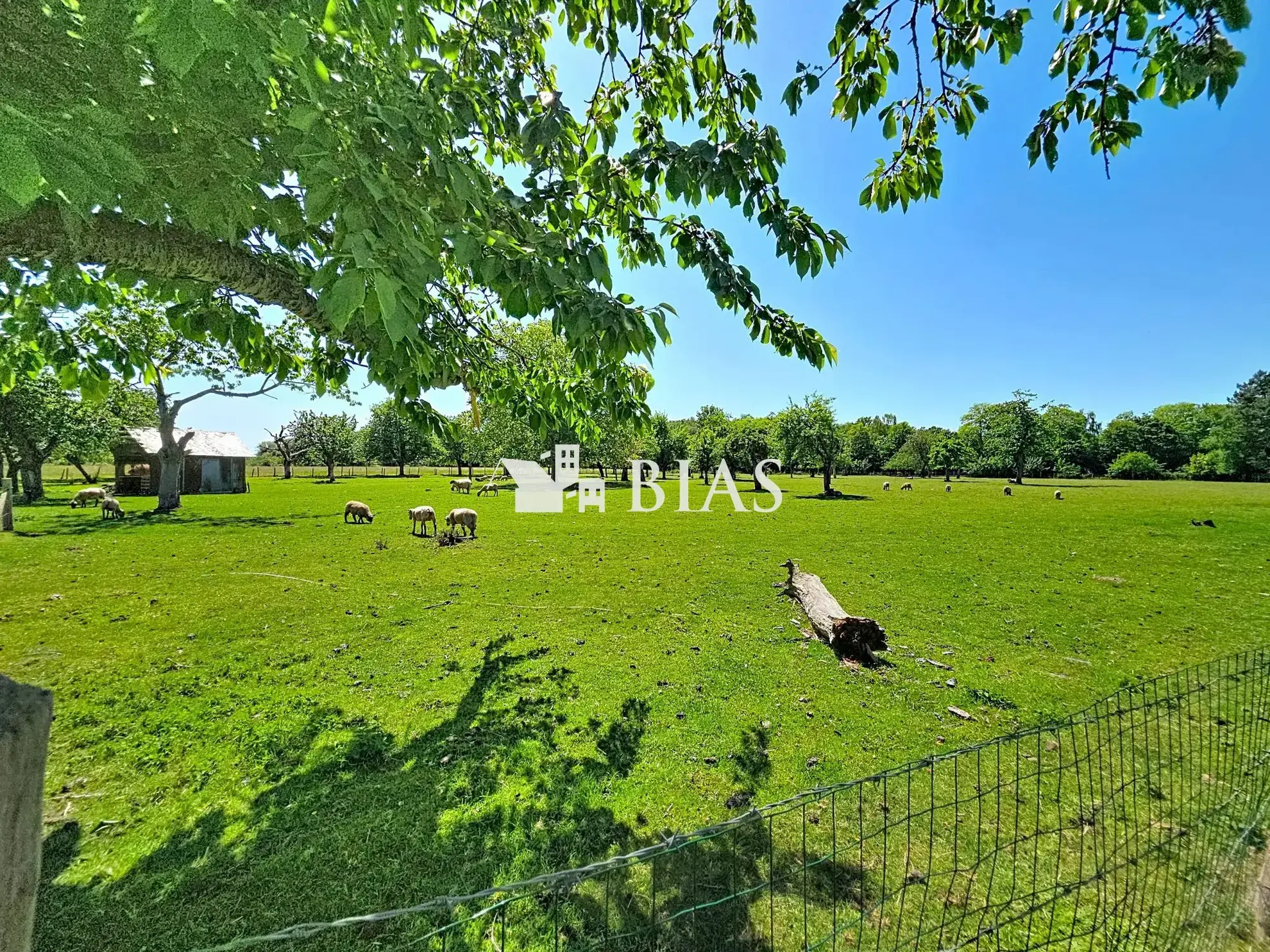 Maison à rénover avec terrain agricole de 1,7 ha à Jumièges