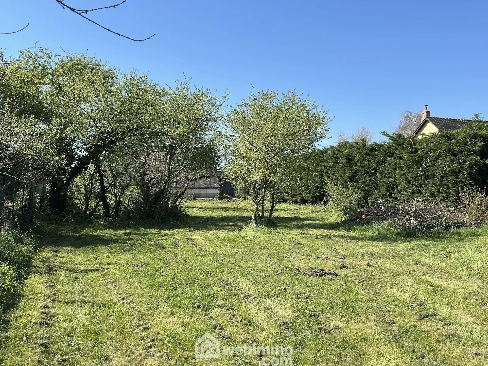 Terrain à bâtir de 6 500 m² à Mazé-Milon – Construction possible dans secteur recherché