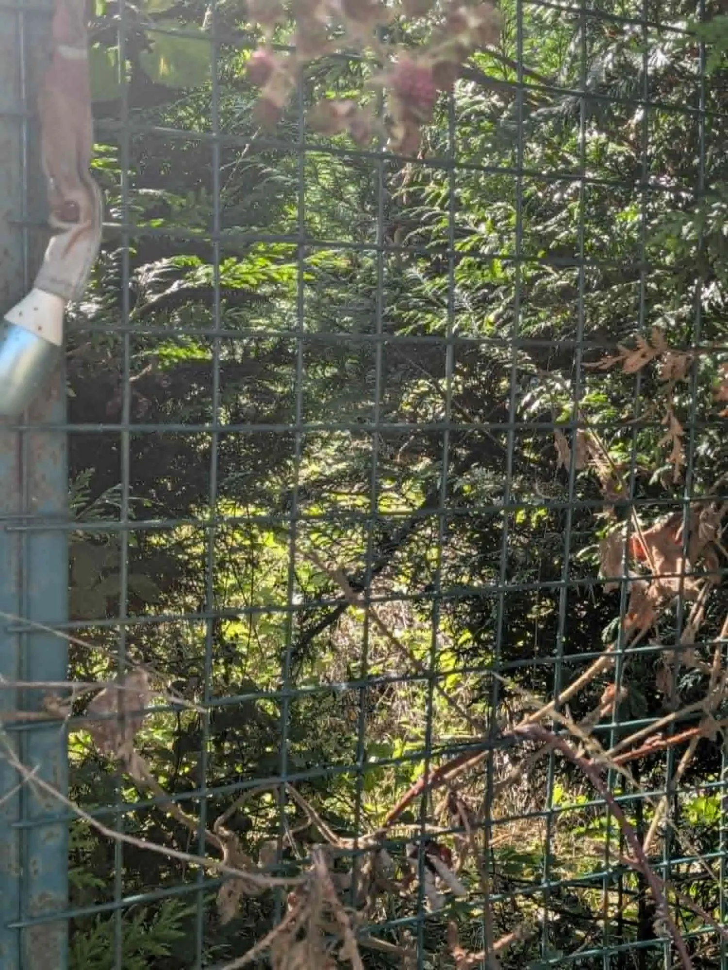 Terrain à vendre à Tergnier - 341 m² à 4 000 €
