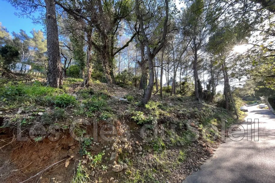 Terrain résidentiel arboré à vendre à Le Revest-les-Eaux - secteur Haut Ray
