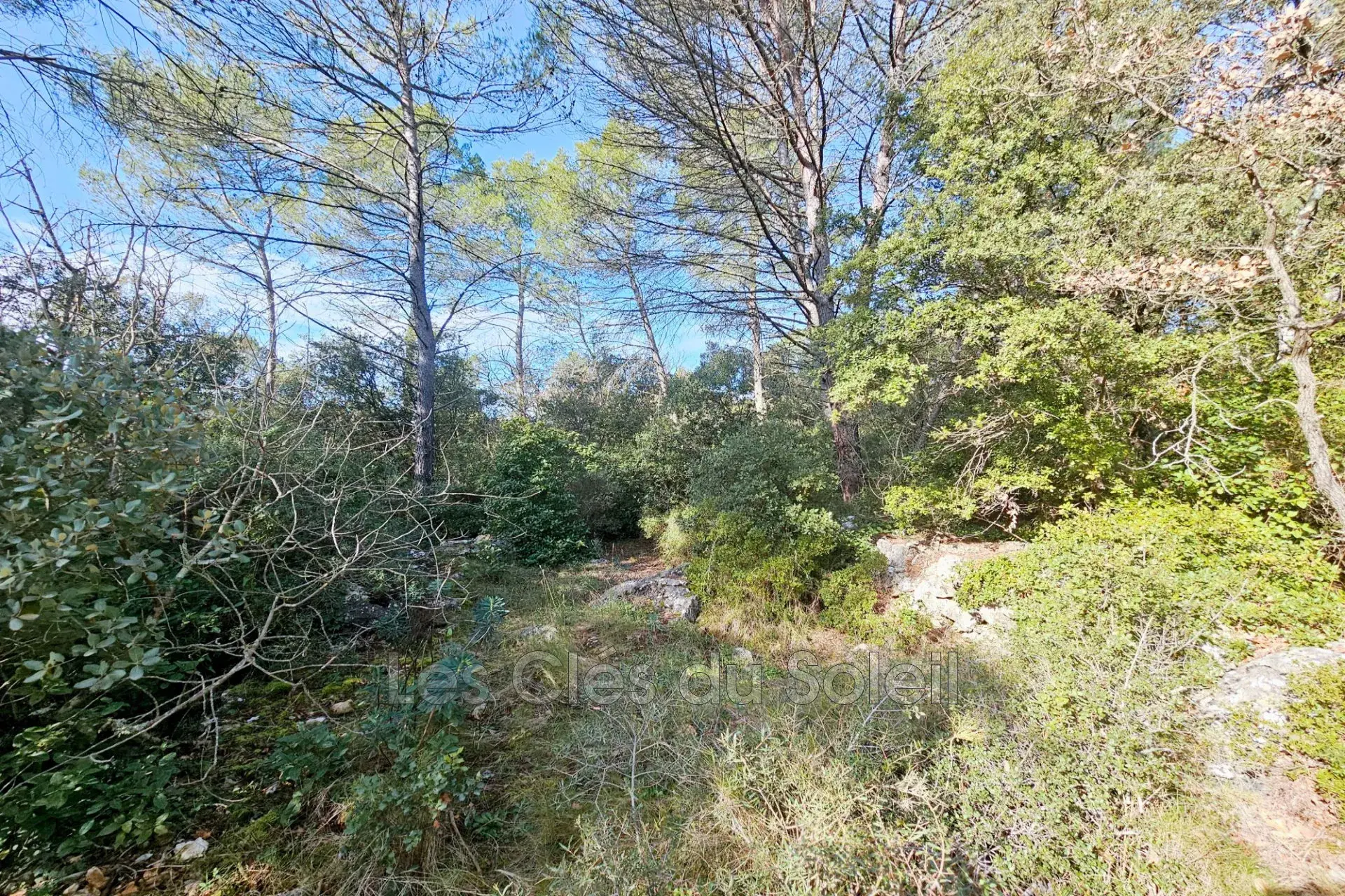 Terrain constructible de 4 500 m² à Camps-la-Source avec vue dominante