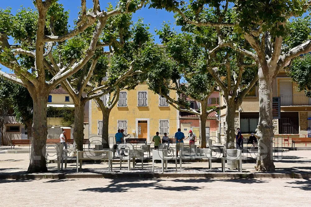 Vente fonds de commerce pizzeria à La Crau - Emplacement stratégique et clientèle fidèle