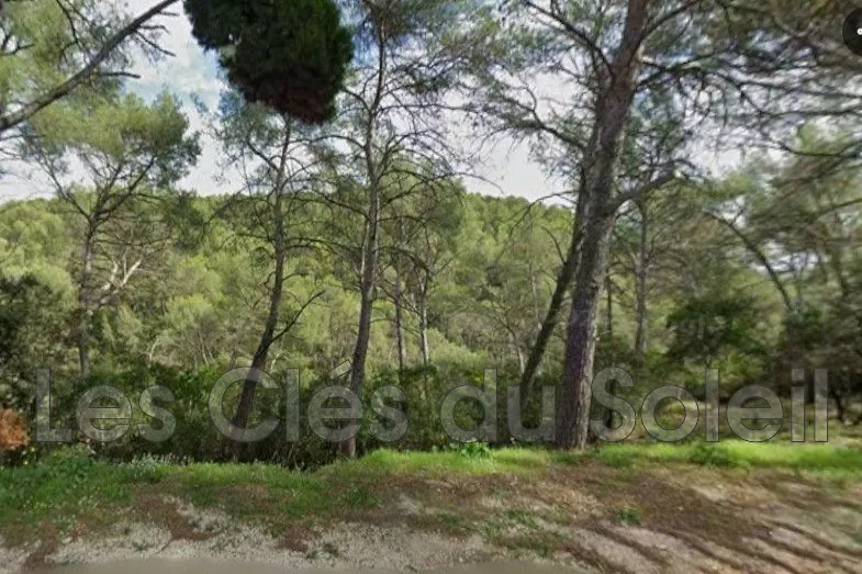 Terrain non constructible à vendre à Bandol dans un secteur calme et boisé