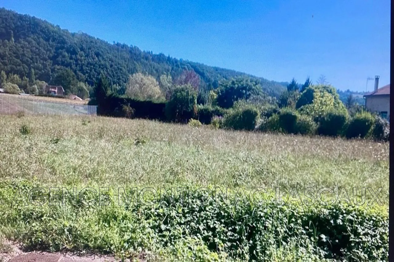 Terrain constructible plat de 3 578 m² à Montignac en France