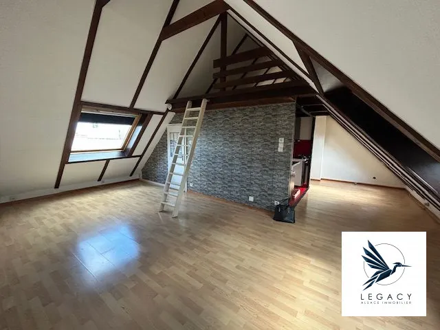 Appartement duplex F1 à vendre à Lingolsheim - Investissement locatif
