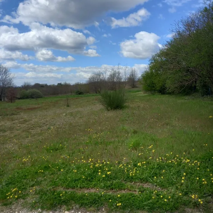 Terrain constructible en campagne à Graulhet avec vue dégagée
