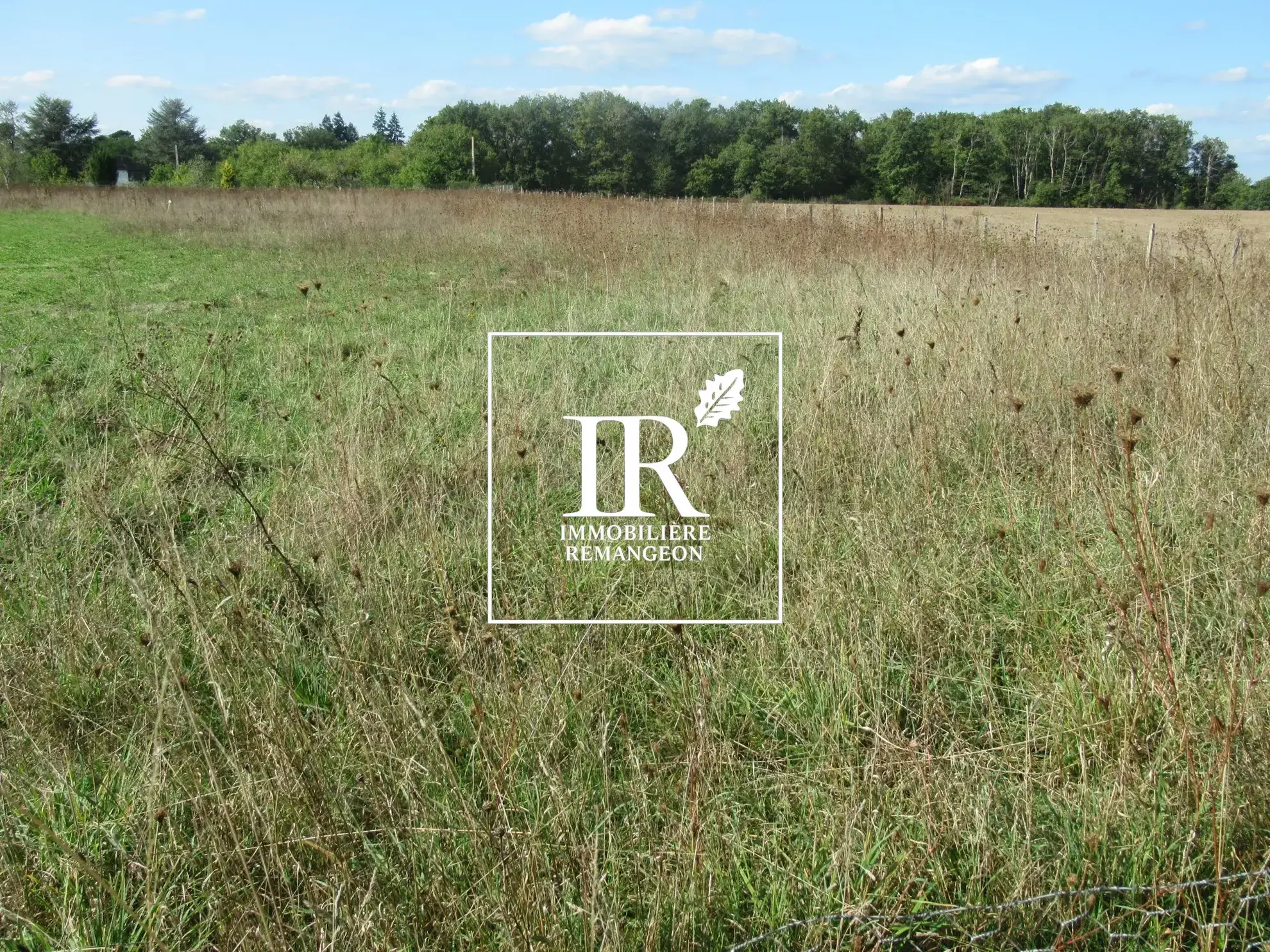 Terrain constructible à Chaumont-sur-Tharonne – Environnement calme et études de sol réalisées